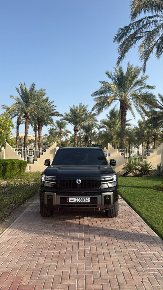 دينزا بي ٨ - 2