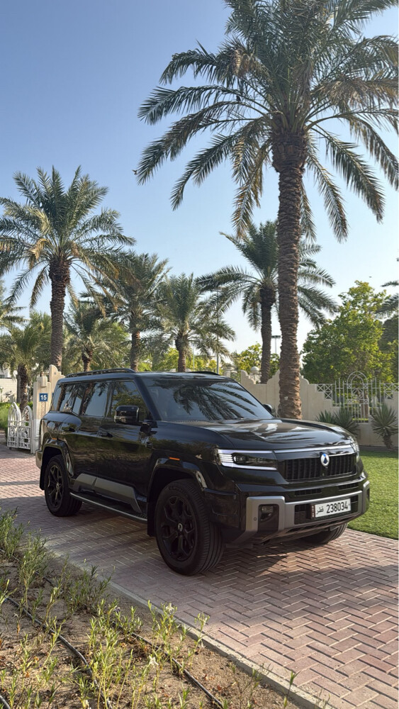 دينزا بي ٨ - 3