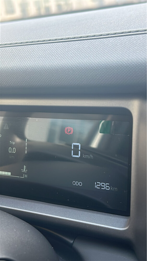 Car name is Rely - 9