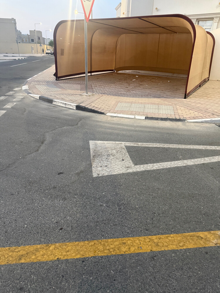 car shade - 1