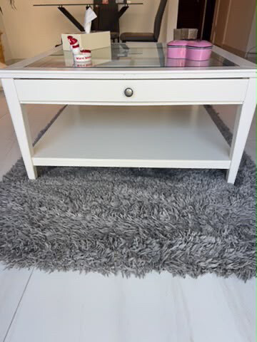 coffee table and rug - 2