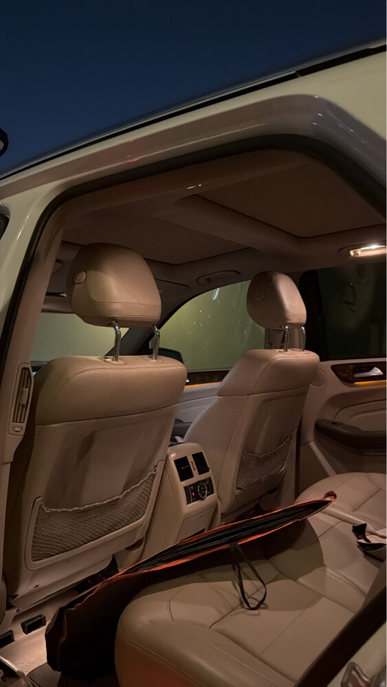 Amazing Mercedes ML350 - 3