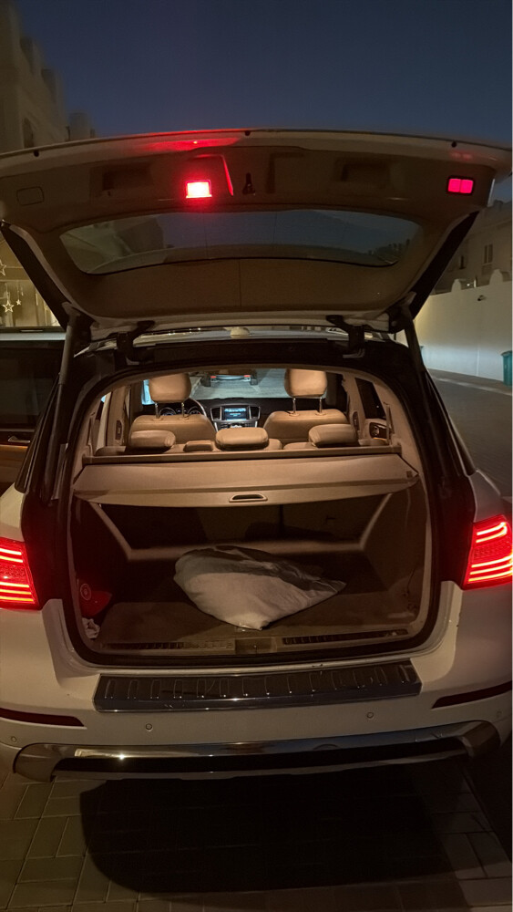 Amazing Mercedes ML350 - 2