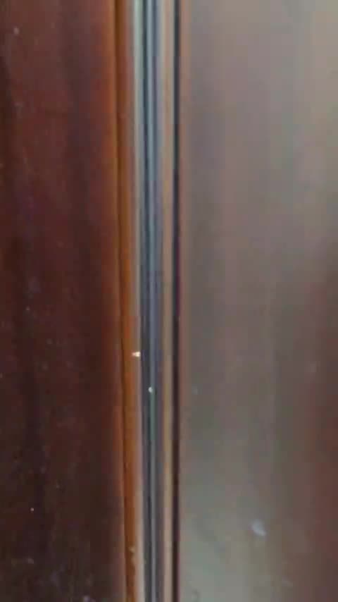 شقه للايجار - 1