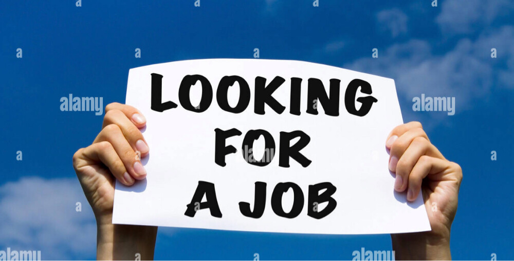 Looking for job  - 1