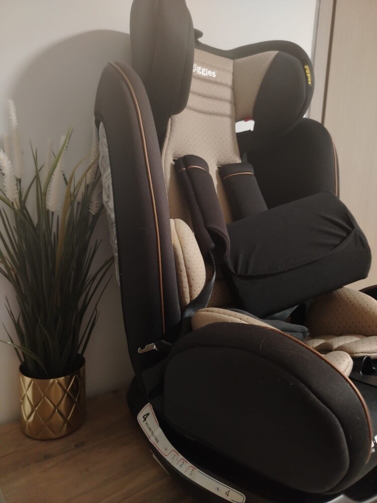 Giggles GlobeFIX car seat - 2