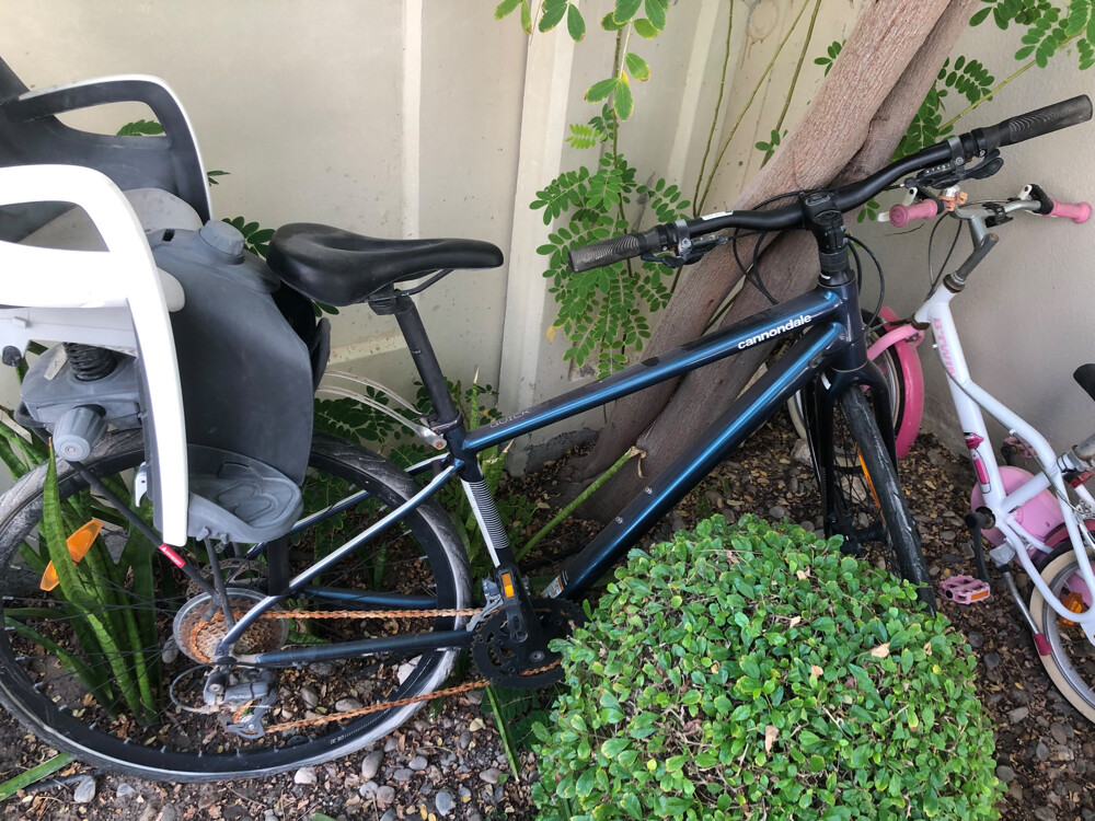 cannondale - 2