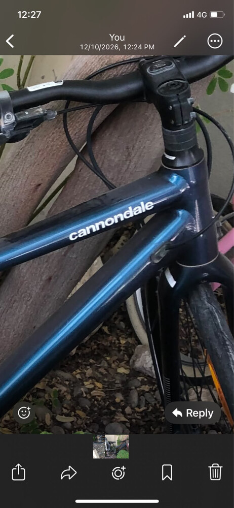 cannondale - 1