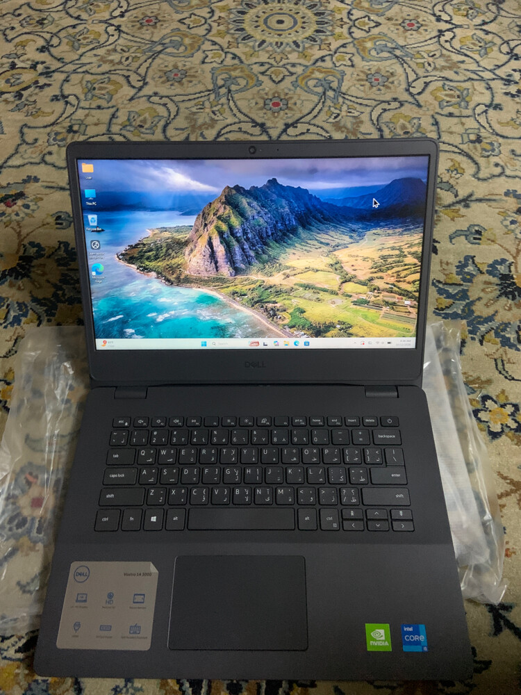 dell vastro 300 - 1