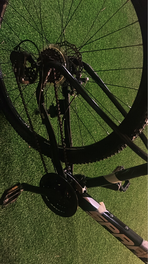 Spartan Bike, bought for 1100  - 4