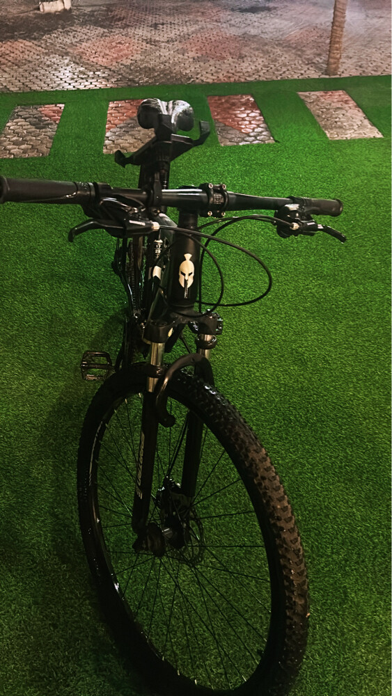 Spartan Bike, bought for 1100  - 5