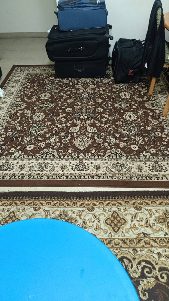  6 carpet for urgent sale1 pic 40  - 2