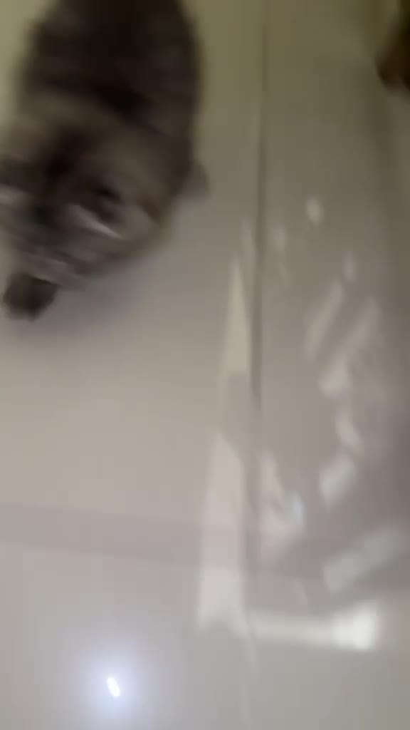 بيع مستعجل - 1
