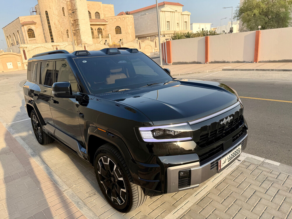 بي واي دي ليوبارد 8 فلاج شيب2026  - 6