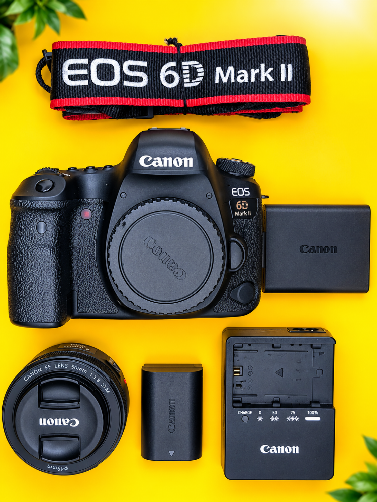 canon 6d mark 2 & 50mm full frame - 1