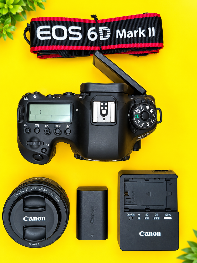 canon 6d mark 2 & 50mm full frame - 2