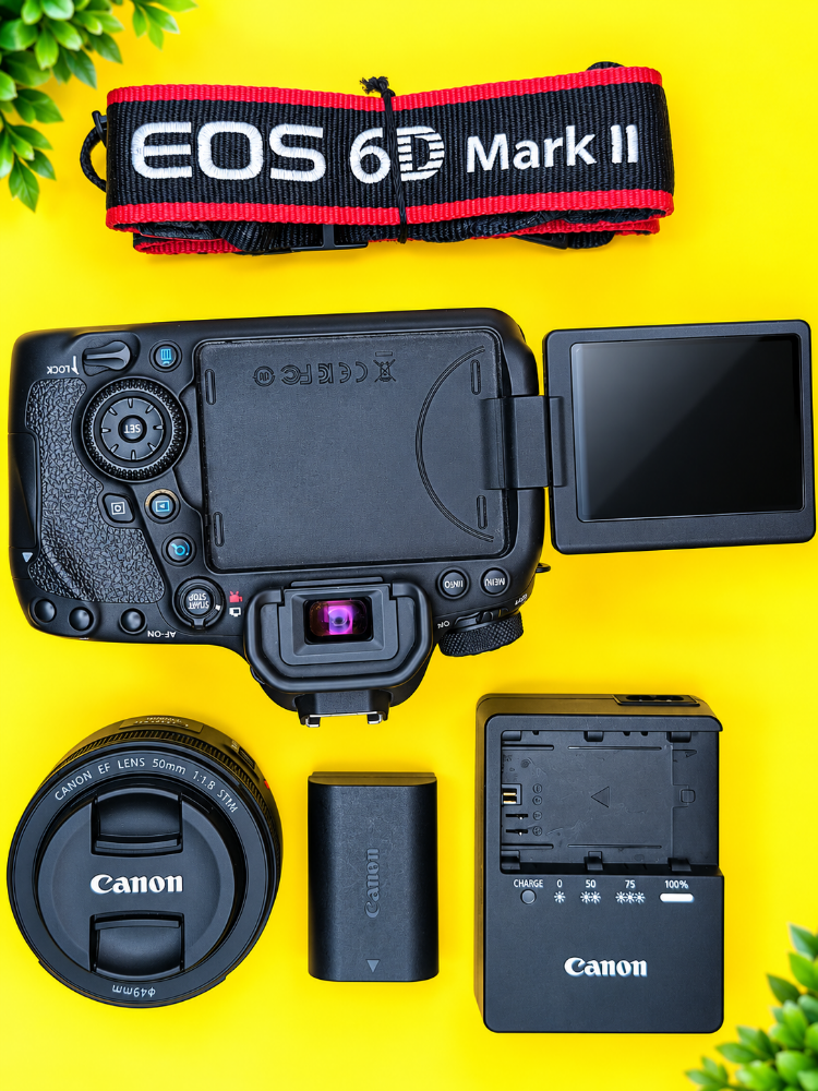 canon 6d mark 2 & 50mm full frame - 3