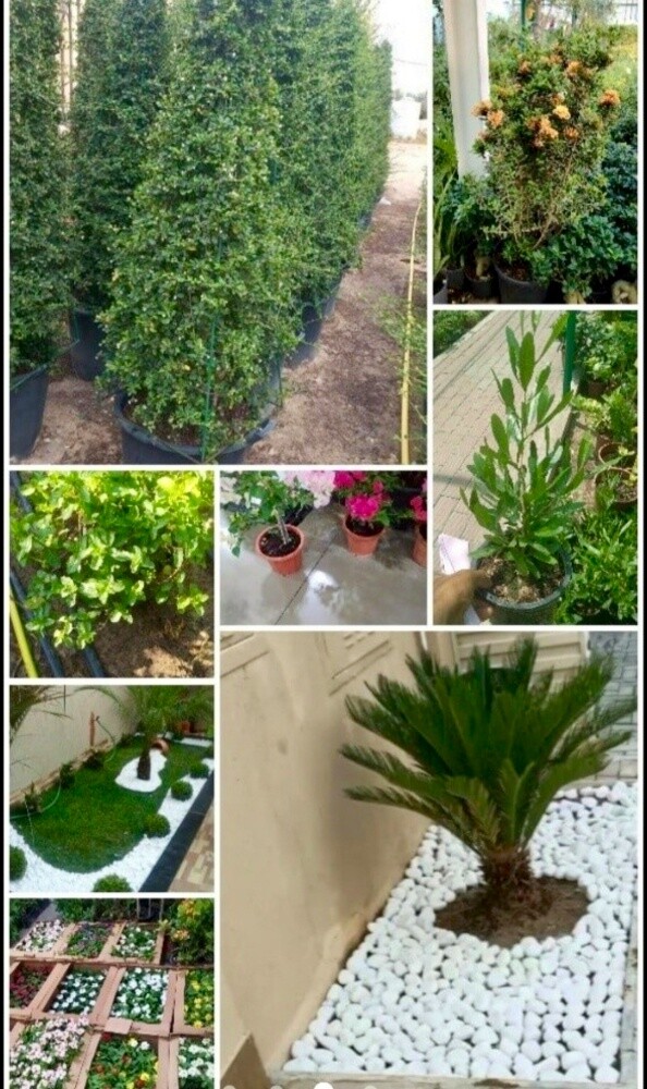 Garden and Agriculture - 1