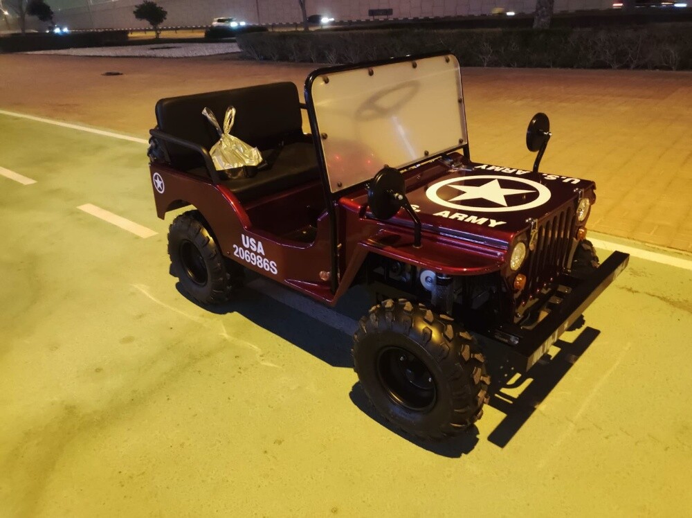 ميني جيب - 4