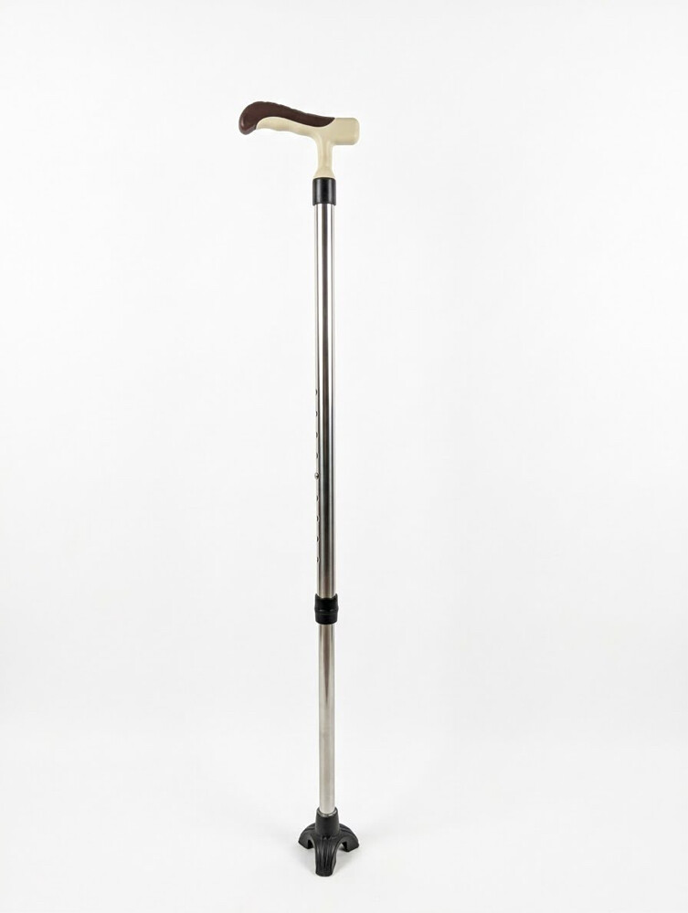 walking sticks - 5
