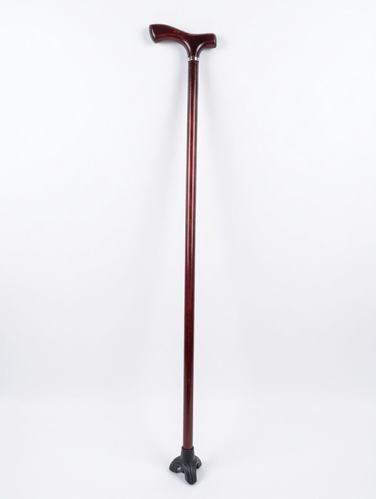 walking sticks - 8