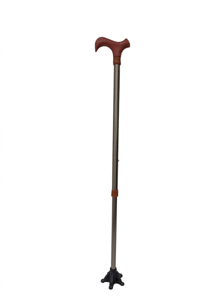 walking sticks - 3