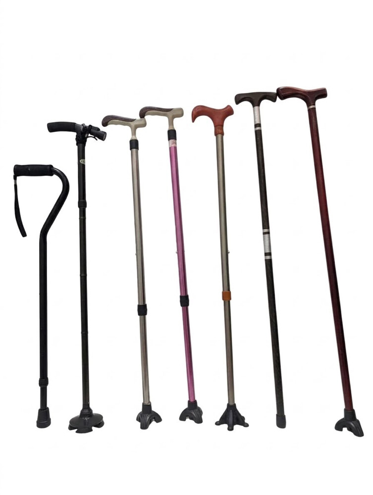 walking sticks - 1