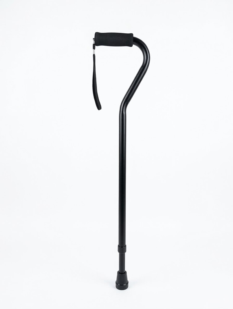 walking sticks - 7