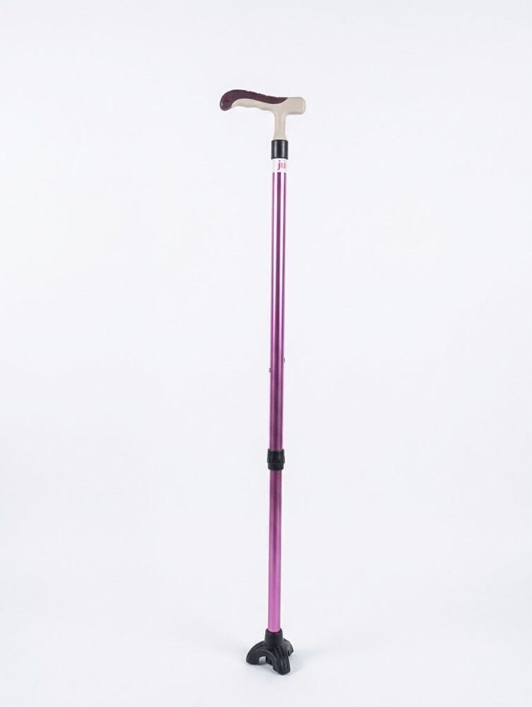 walking sticks - 2