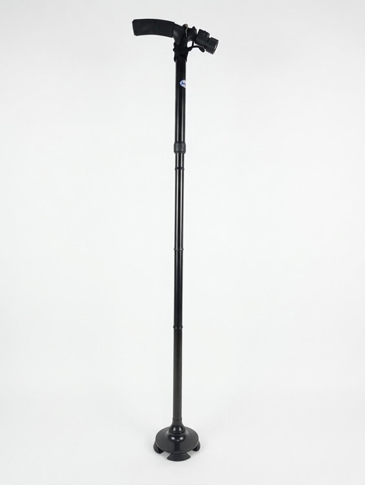 walking sticks - 4