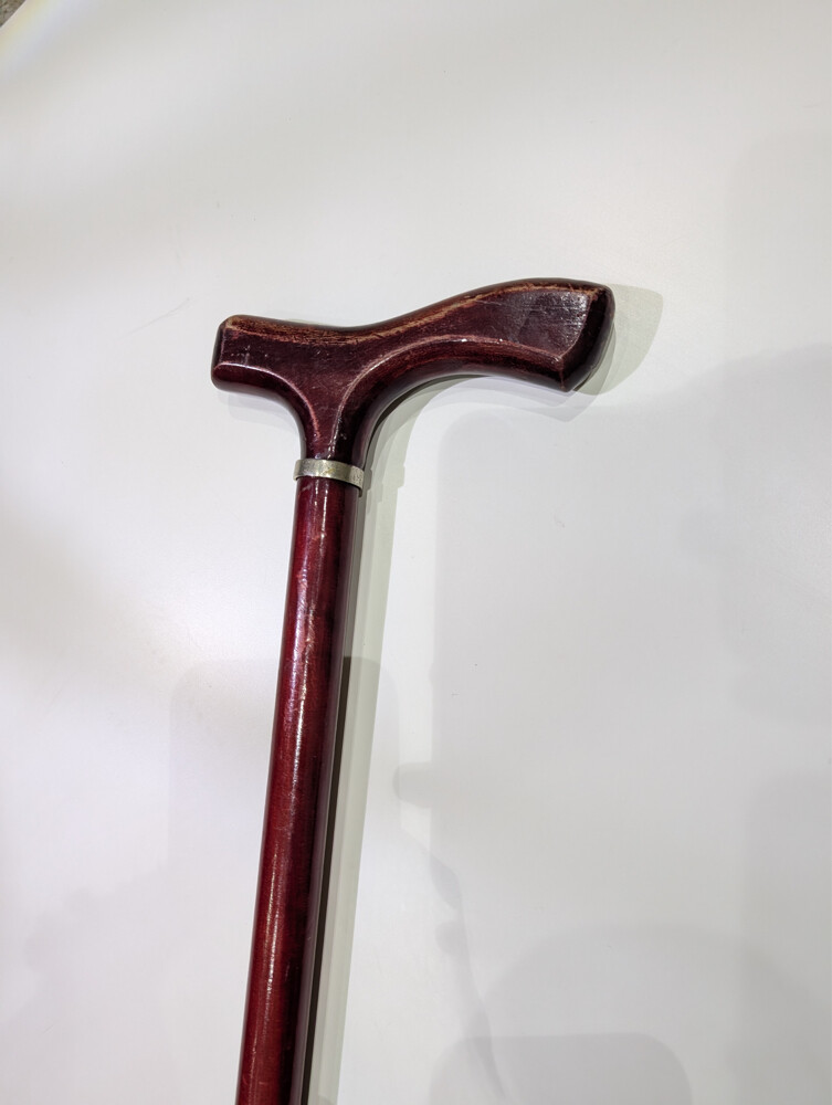 walking sticks - 10