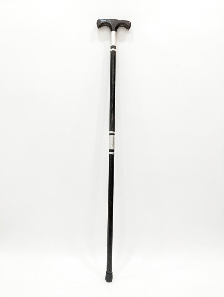 walking sticks - 6