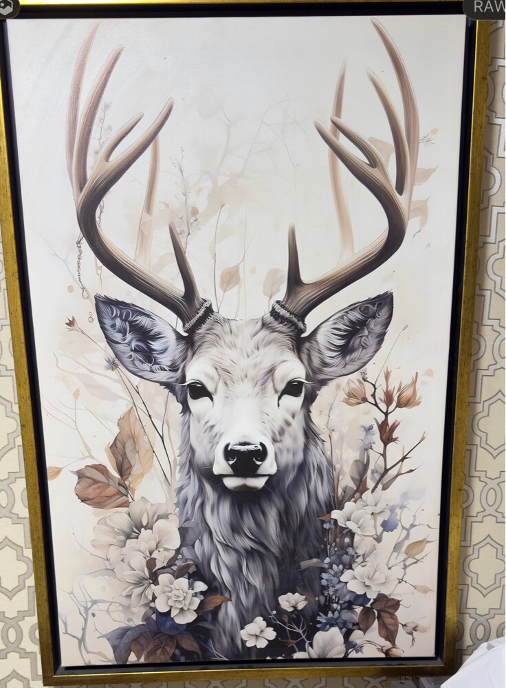 Wall Decor for Sale - 1