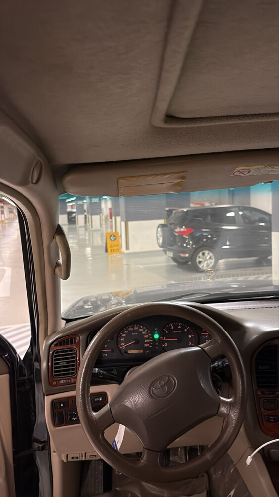 جكسار خمسين عام مجدد بالكامل - 11