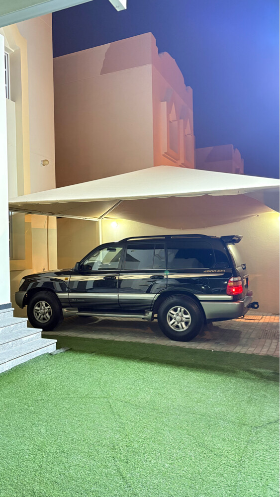 جكسار خمسين عام مجدد بالكامل - 2