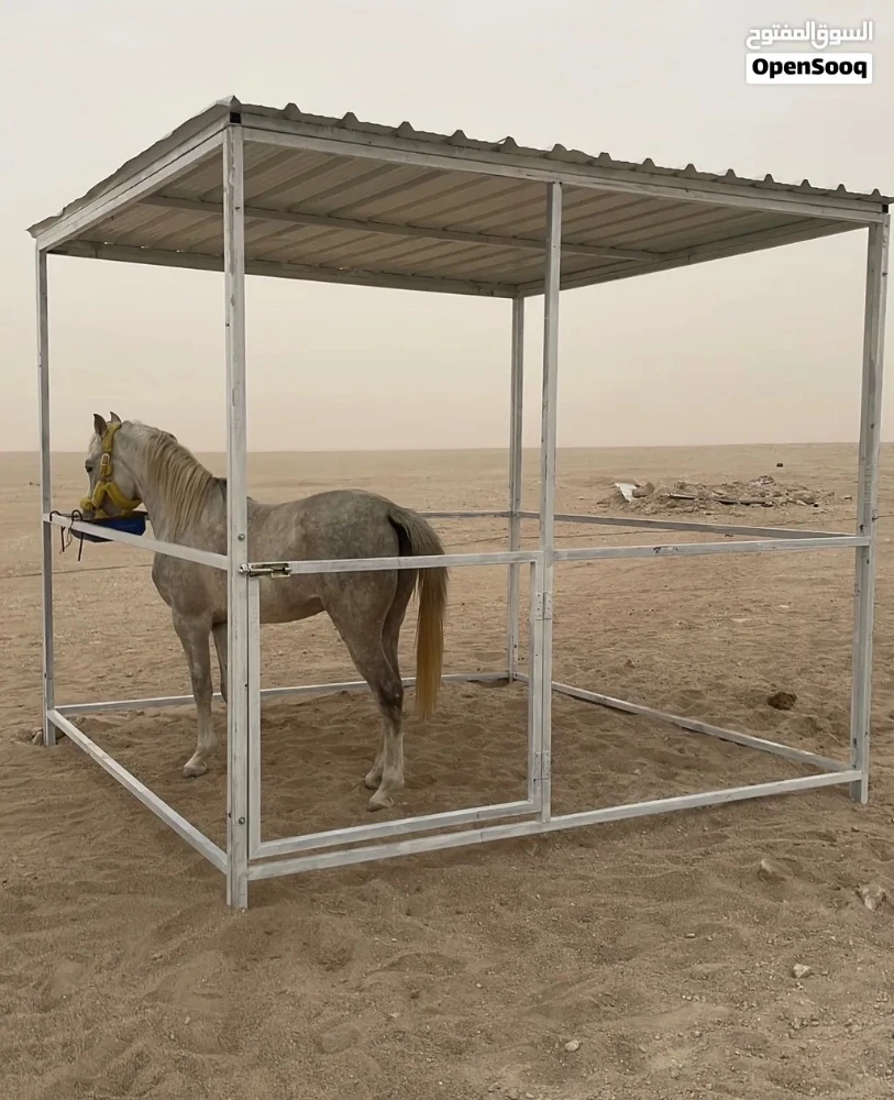 خيول غرف وحواجز تفصال قطر - 2
