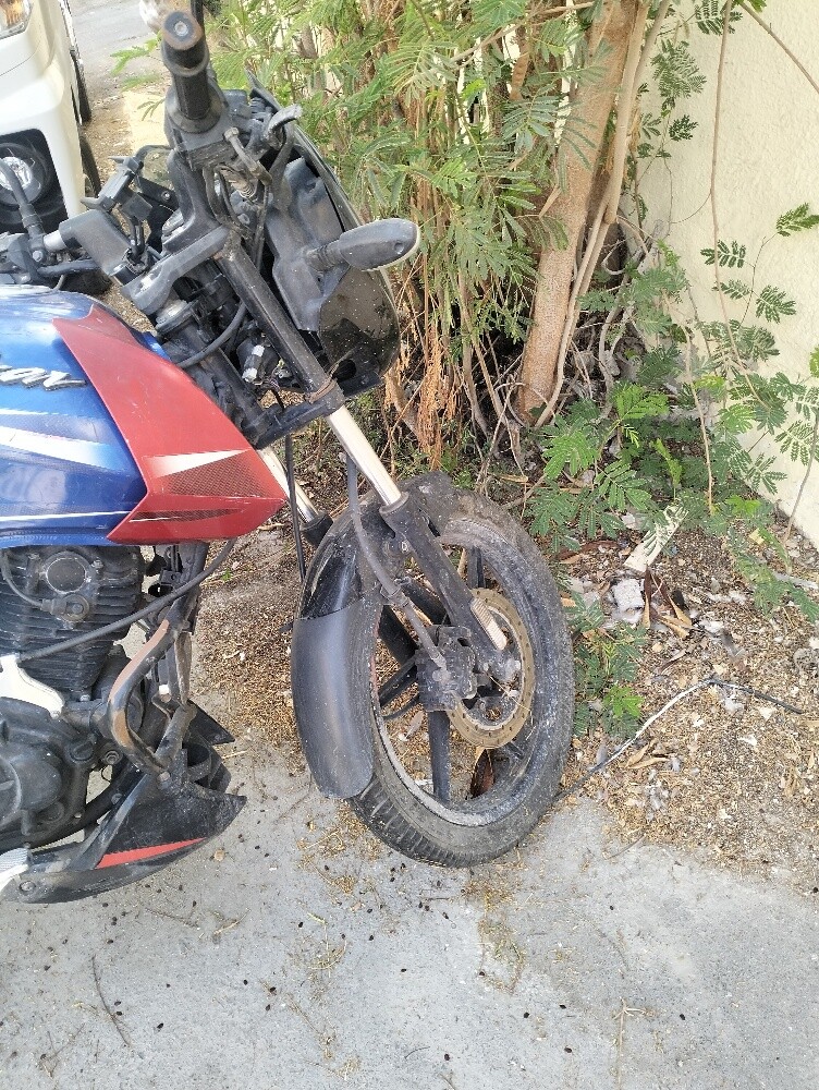 Bike for Rent - 4