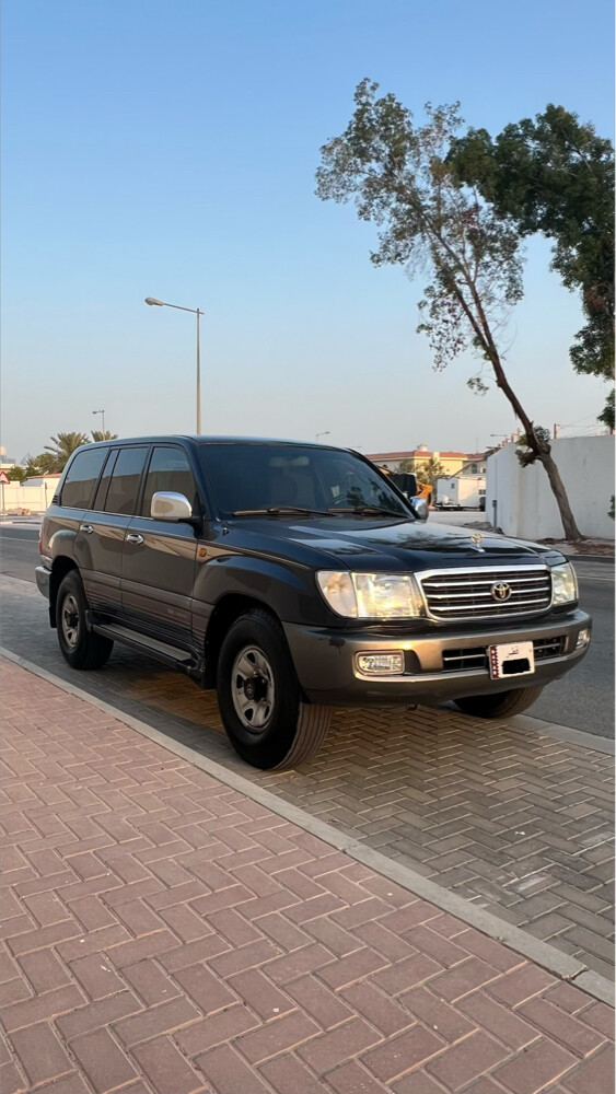 للبيع جكسار 50 عام  - 2