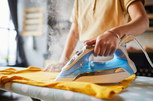 Laundry Presser / Ironer - 1