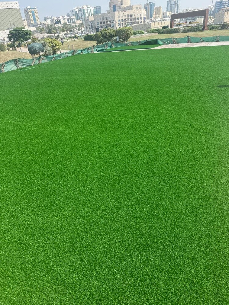 Artificial Grass carpet - 1