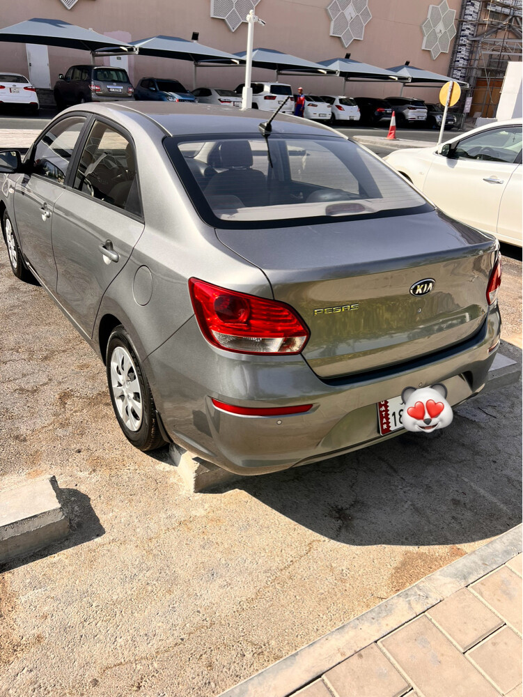 Shiraz 30007616 mobile  - 3