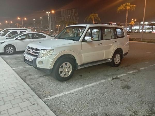 Pajero (Well Maintained) - 9