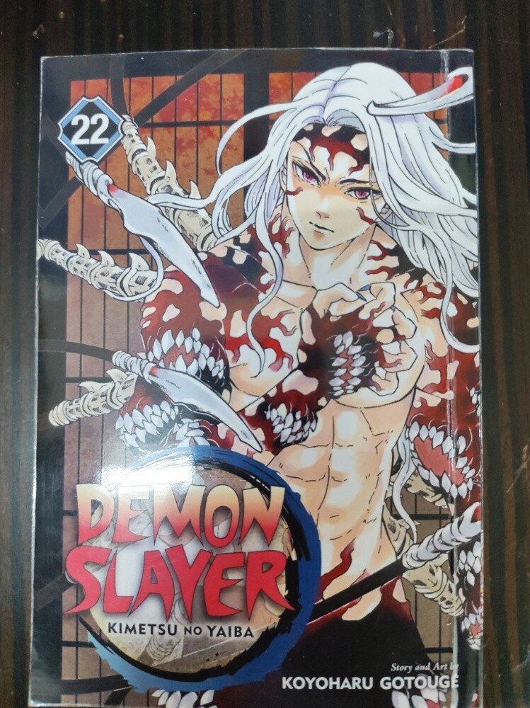 Demon Slayer manga volume 22 - 1