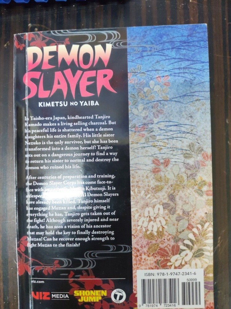 Demon Slayer manga volume 22 - 2