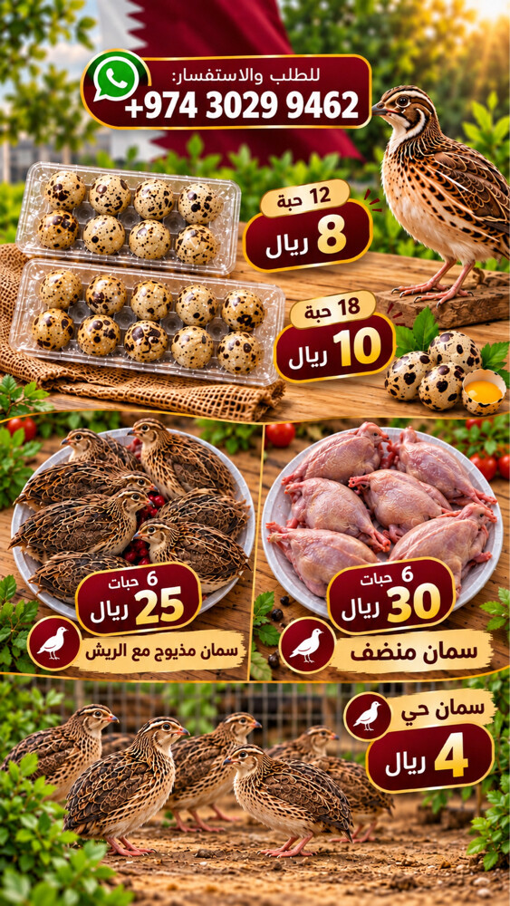 بيض وفري حي ومذبوح - 1