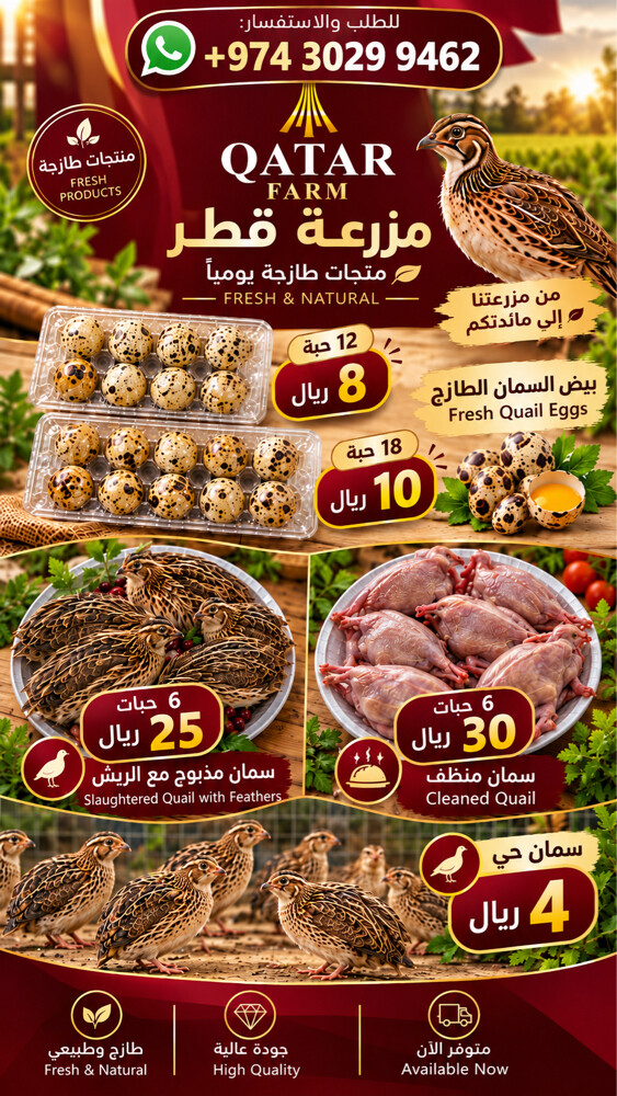 بيض وفري حي ومذبوح - 2