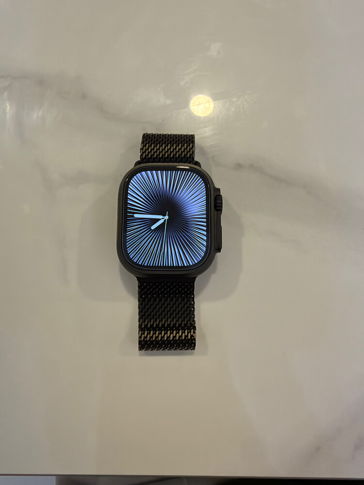 Titanium Milanese loop Apple Watch - 4