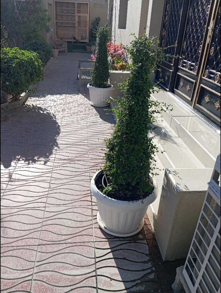 مزارع مع تنسيق والمتابعه شهريا - 2