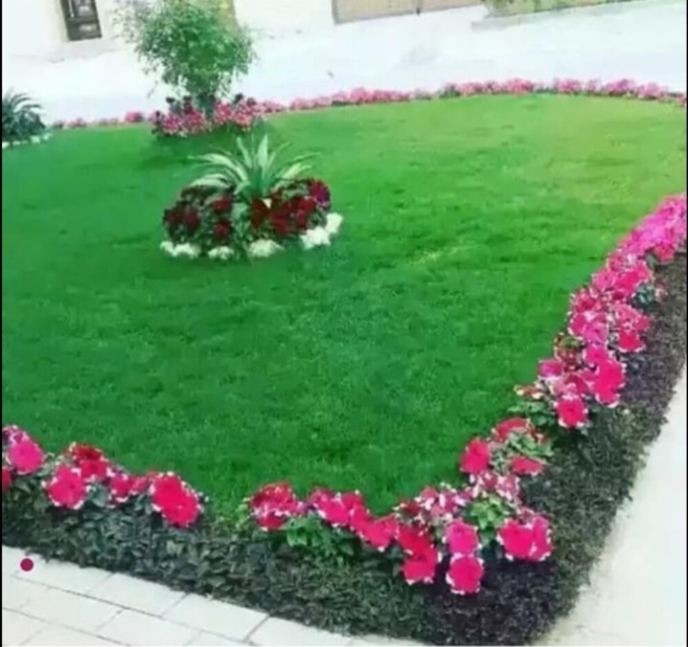 مزارع مع تنسيق والمتابعه شهريا - 5