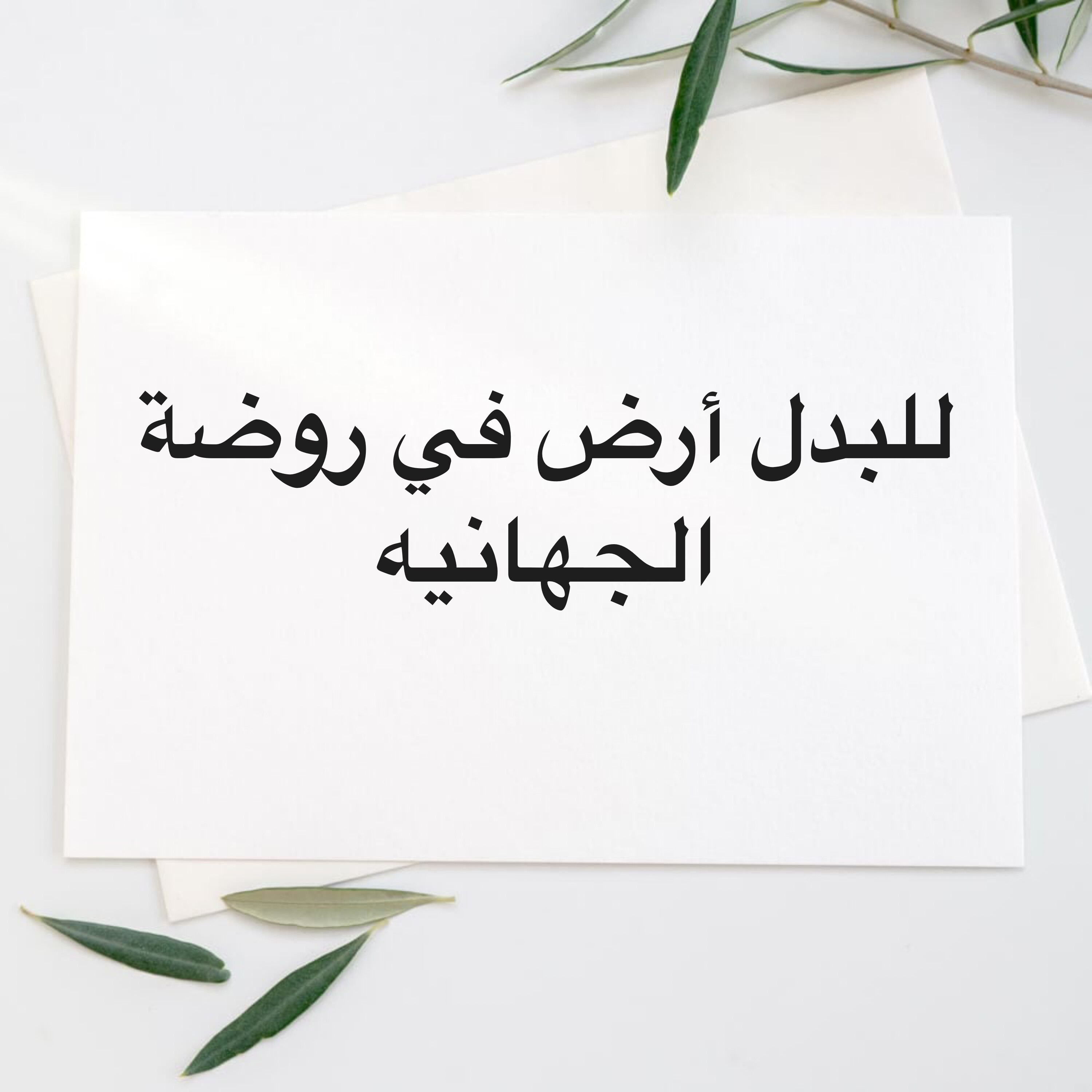 للبدل أرض في روضة الجهانيه - 1